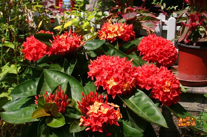 ��Ƭ 009_����.jpg