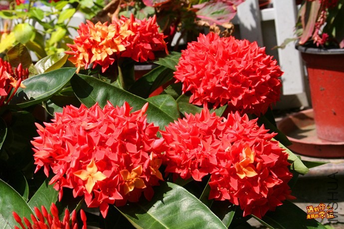 ��Ƭ 013_����.jpg