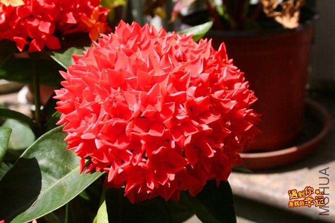 ��Ƭ 014_����.jpg