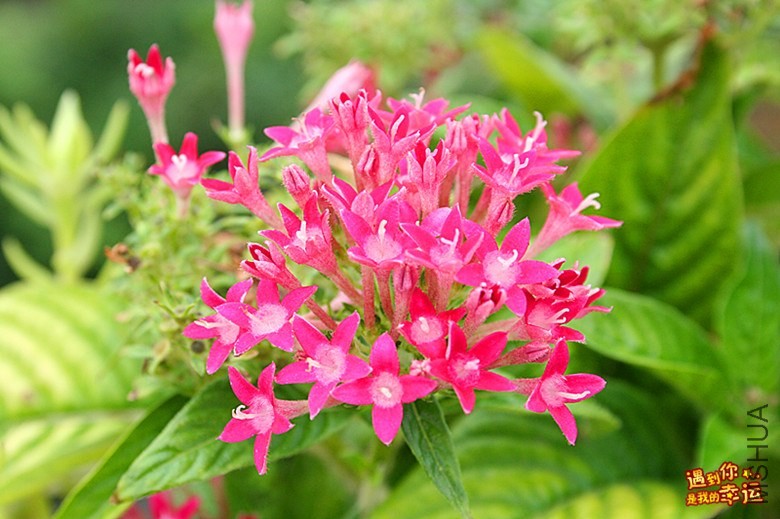 ��Ƭ 110_����.jpg