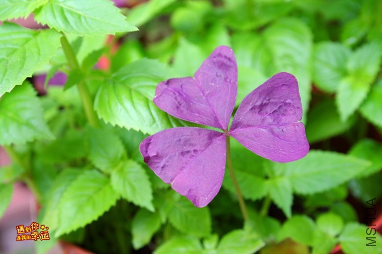 ��Ƭ 143_����.jpg