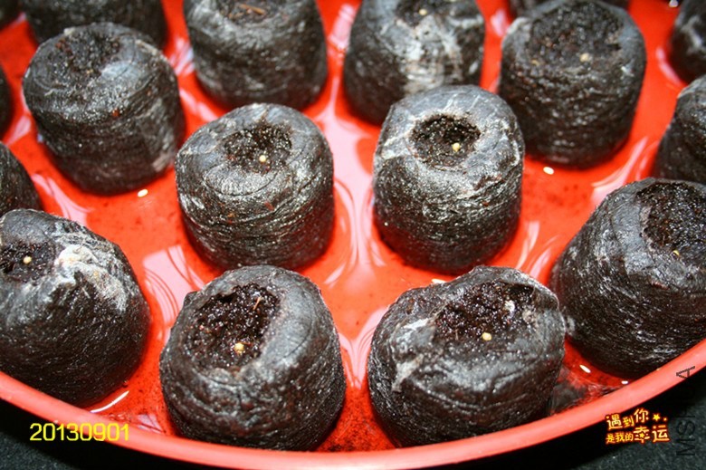 ��Ƭ 068_����.jpg