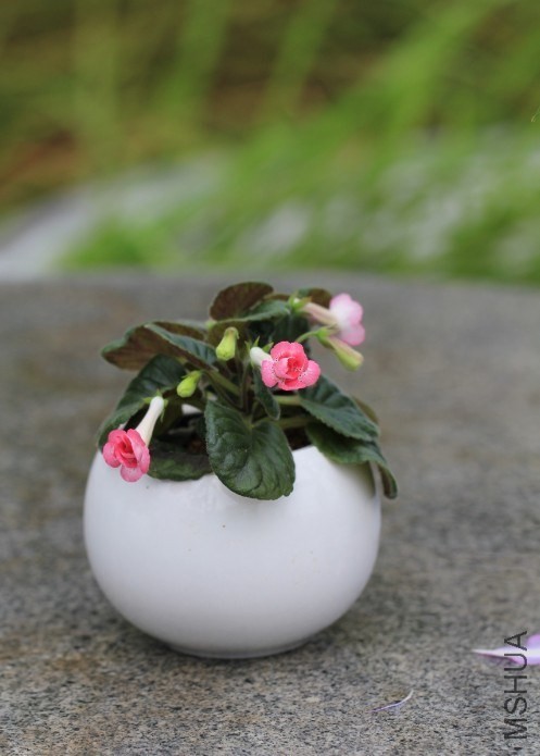 QQͼƬ20130906225754.jpg