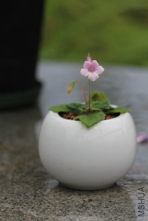 QQͼƬ20130906231111.jpg