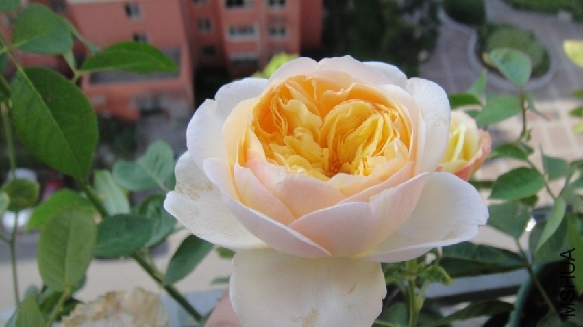 DSC05136.JPG