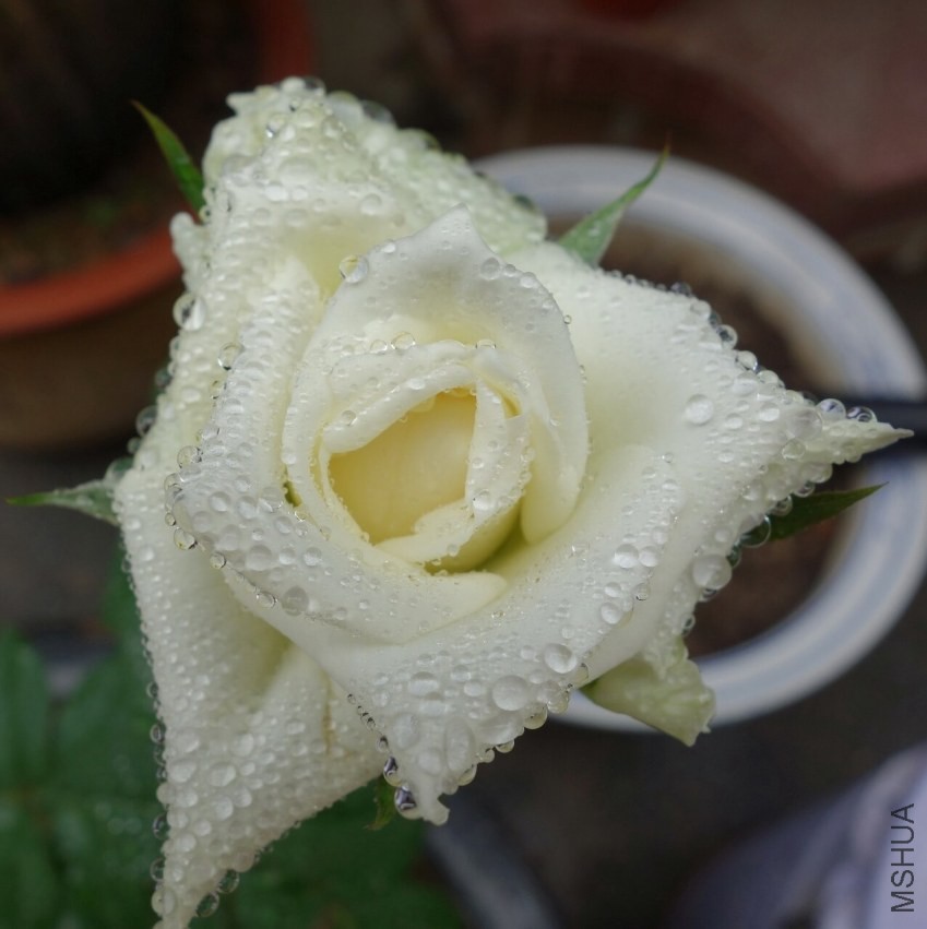 ����3��-1