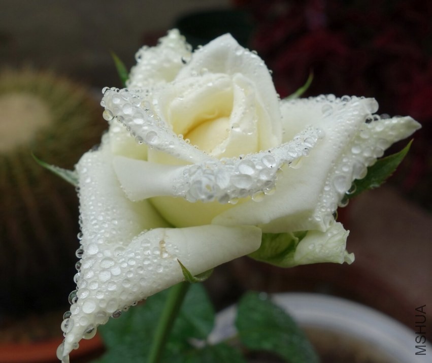 ����3��-2