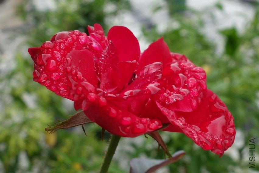 ����8��-2