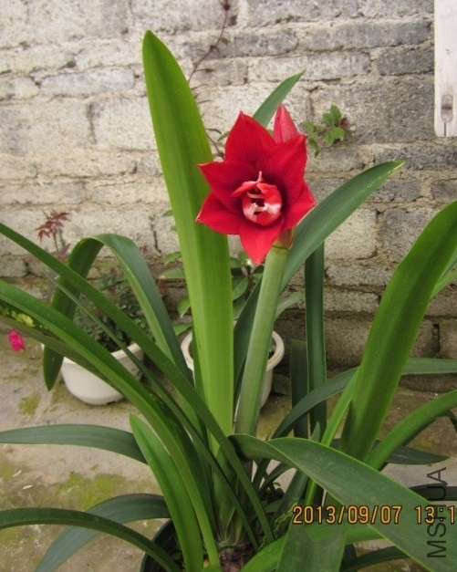 QQͼƬ20130907133223.jpg