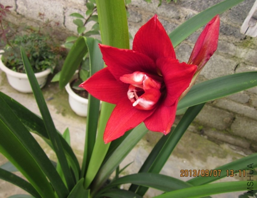 QQͼƬ20130907133229.jpg