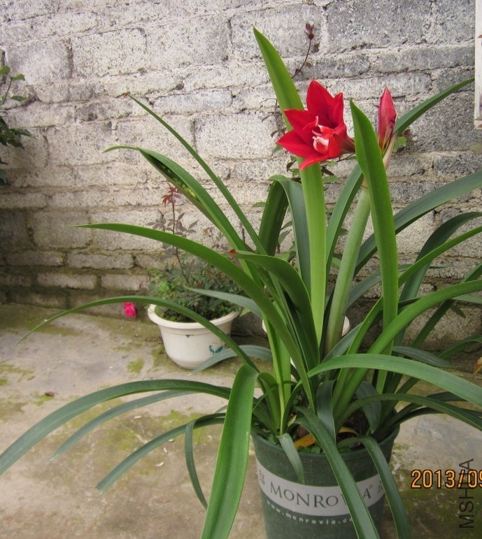 QQͼƬ20130907133238.jpg