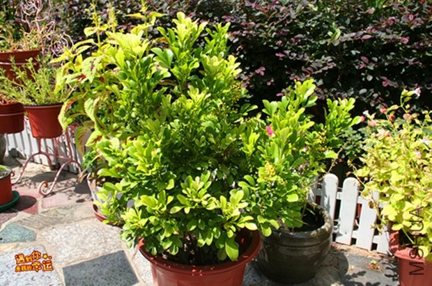 ��Ƭ 025_����.jpg