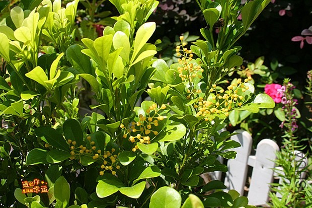 ��Ƭ 026_����.jpg