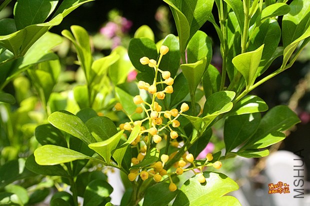 ��Ƭ 030_����.jpg