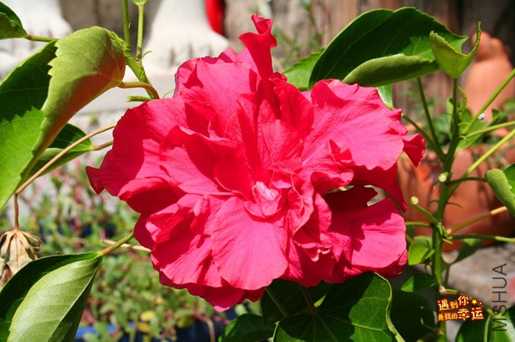 ��Ƭ 008_����.jpg