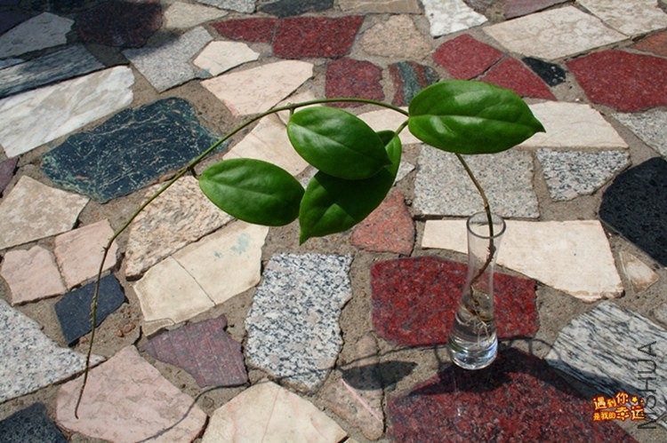 ��Ƭ 001_����.jpg