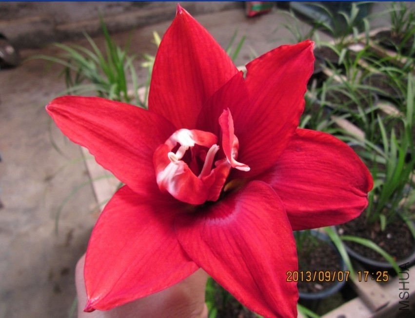 QQͼƬ20130907173759.jpg