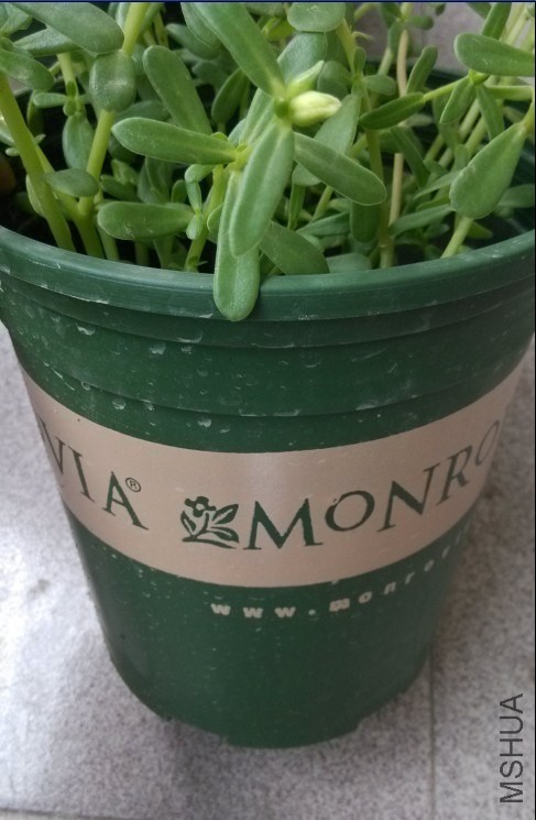 ����ǰ�벿����д������������ŵĻ����أ��Ǻ�