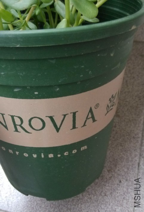 ��벿����д��������Ĳ���