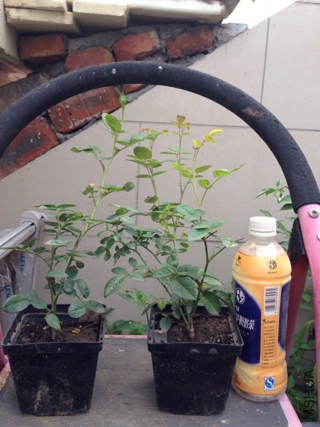 QQͼƬ20130908100203.jpg