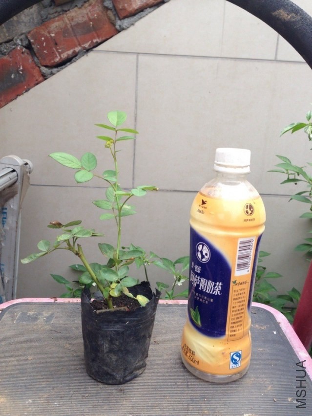 QQͼƬ20130908100233.jpg