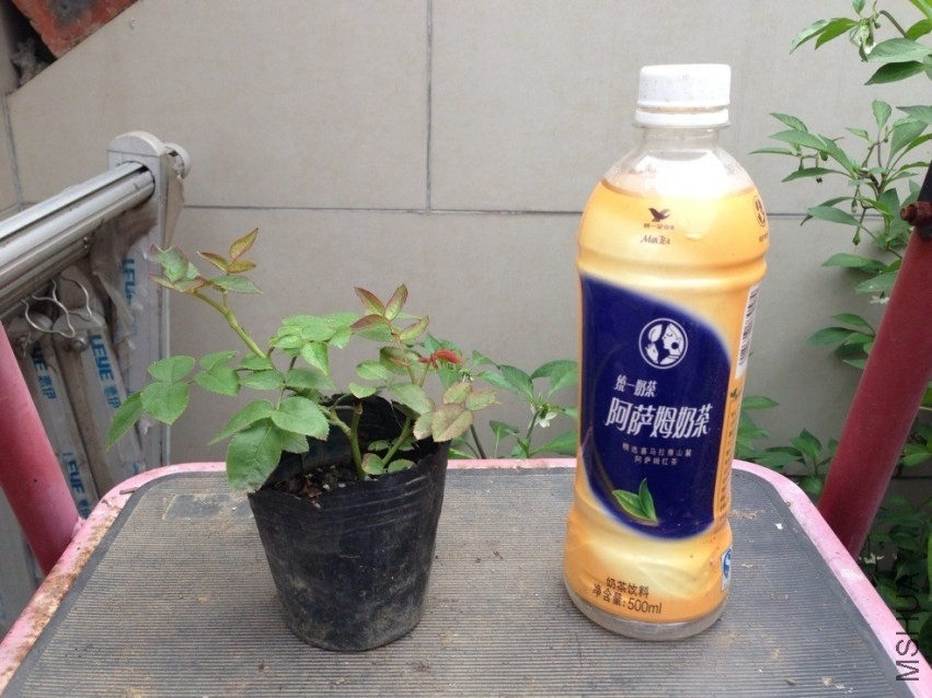 QQͼƬ20130908100242.jpg