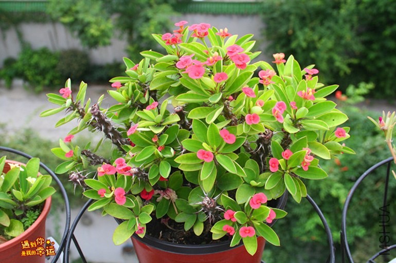 ��Ƭ 107_����.jpg