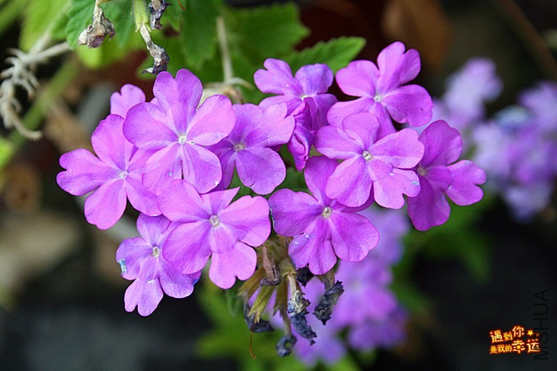 ��Ƭ 155_����.jpg