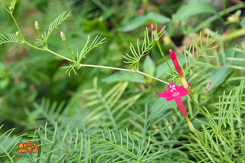 ��Ƭ 180_����.jpg