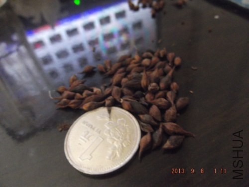 DSCF6820.jpg