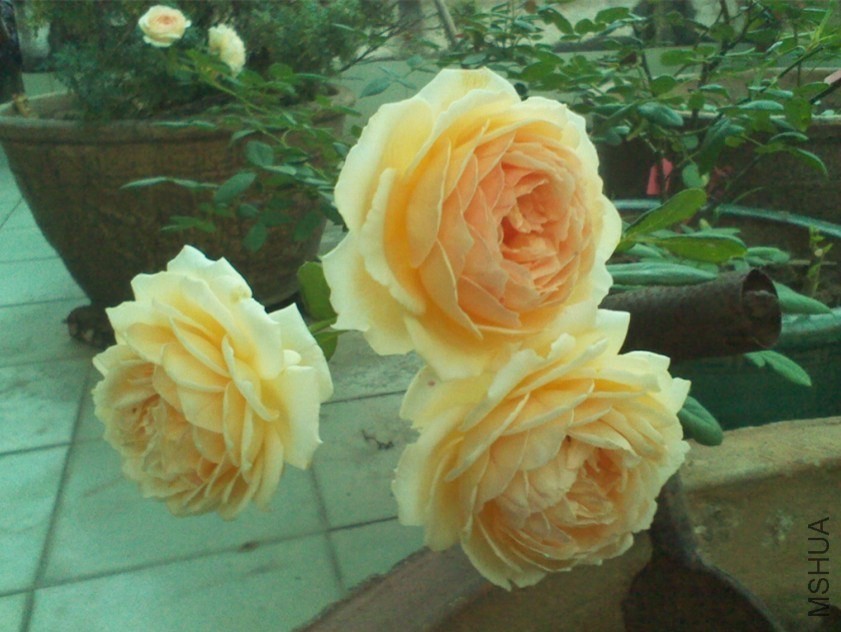 QQͼƬ20130908153637.jpg