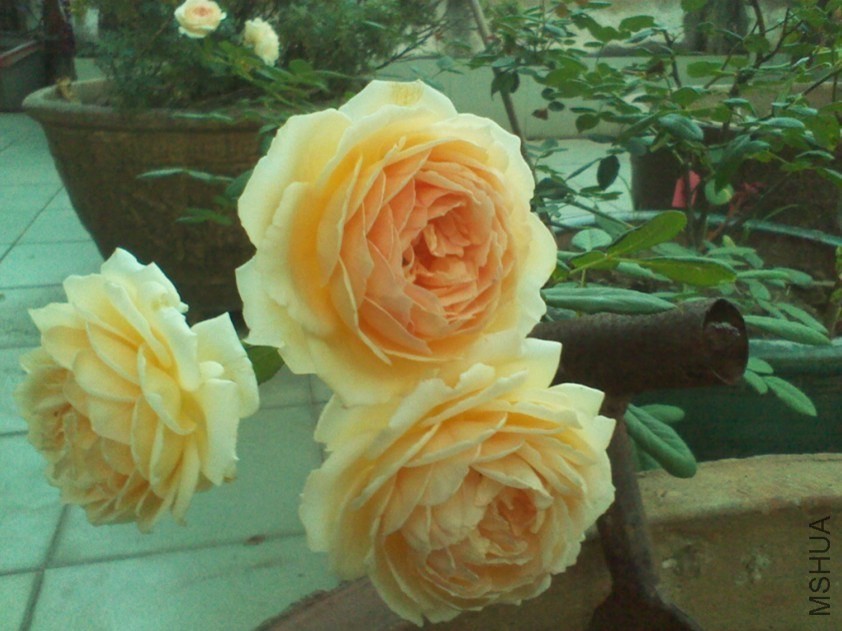QQͼƬ20130908153653.jpg