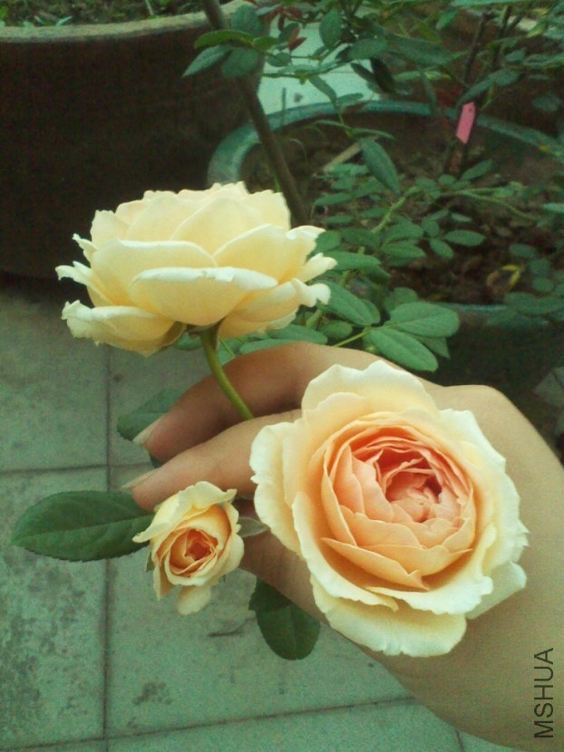 QQͼƬ20130908153707.jpg