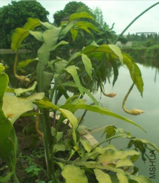 꼻�