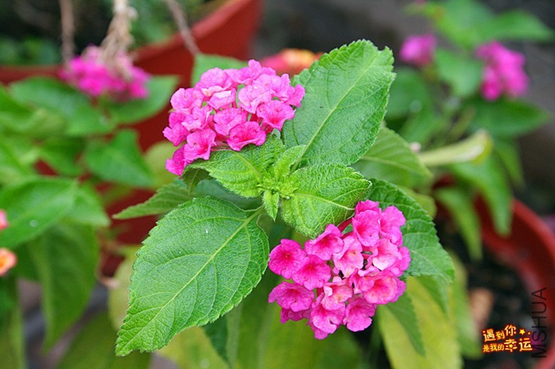 ��Ƭ 102_����.jpg