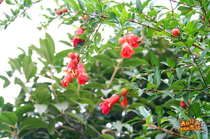 ��Ƭ 218_����.jpg