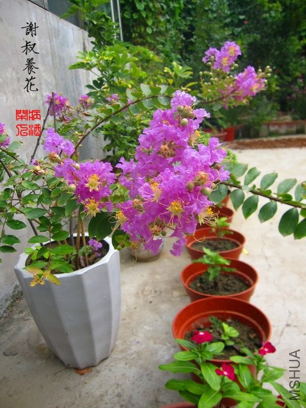 ��ޱIMG_3151.JPG
