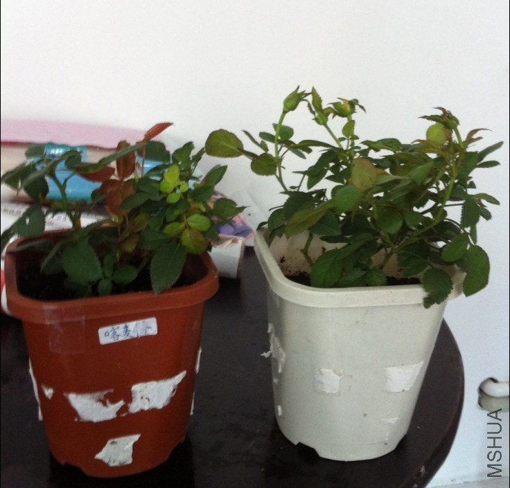 QQ��ͼ20130909185353.jpg