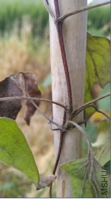 QQ��ͼ20130909191603.jpg