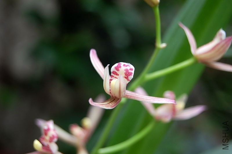 DSC_00510051.JPG