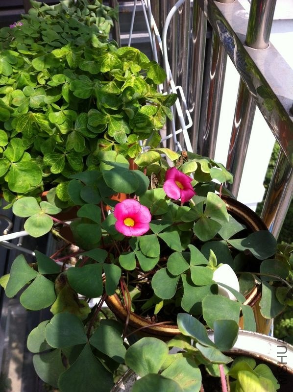 ���� ��Ƭ 019.jpg