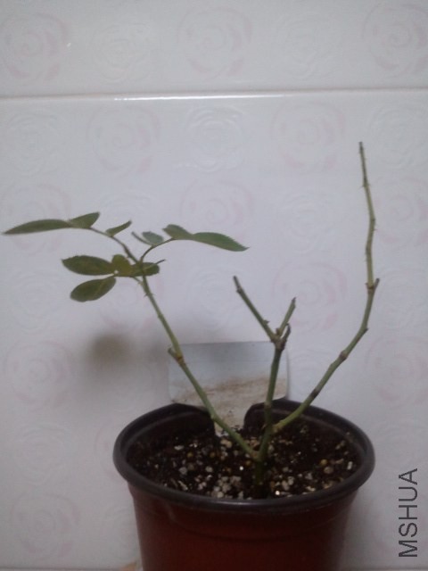 2013-09-10 11.32.36.jpg