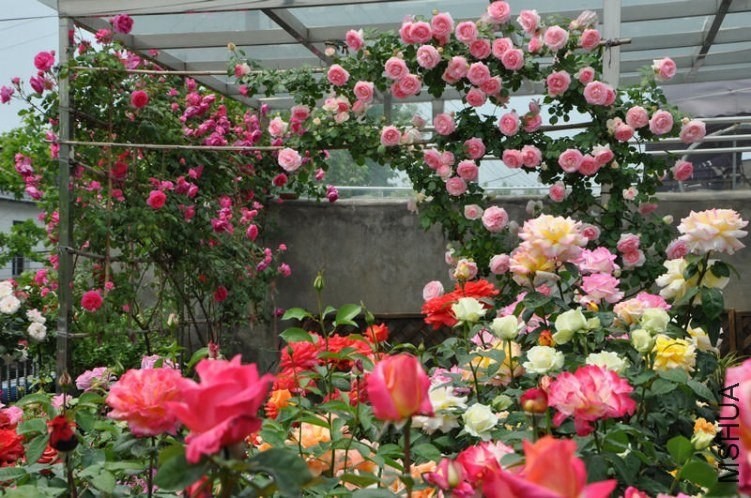 20130504_3376.jpg