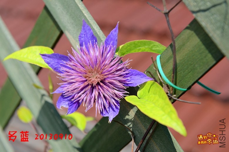 ��Ƭ 090_����.jpg