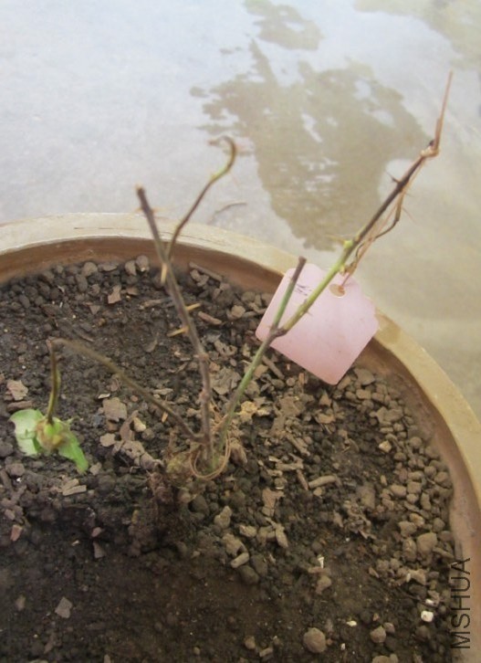 QQͼƬ20130910163224.jpg