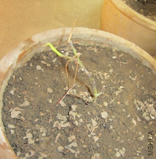 QQͼƬ20130910163130.jpg
