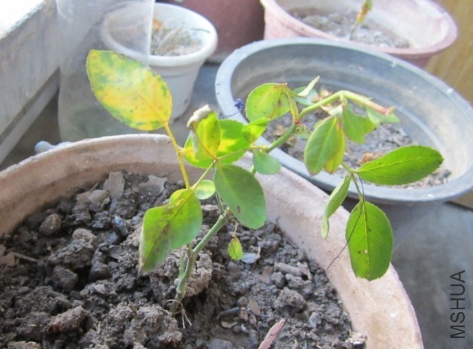 QQͼƬ20130910163202.jpg