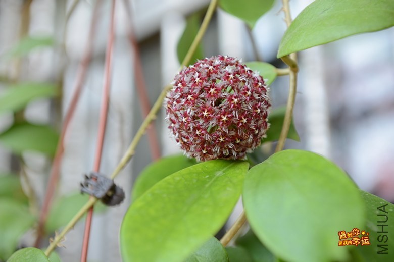 ��Ƭ 001_����.jpg