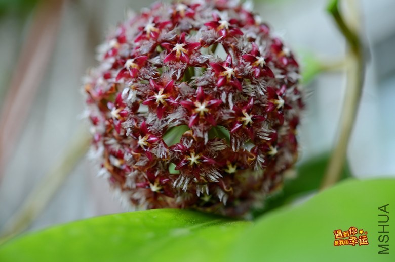 ��Ƭ 002_����.jpg