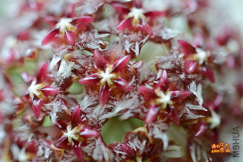 ��Ƭ 003_����.jpg